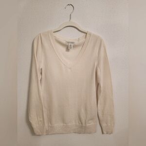 Banana Republic Extra Fine Merino Wool V-neck Sweater
